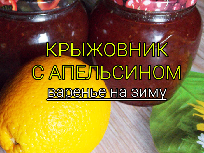 kryzhovnik-s-apelsinom-varene-na-zimu Варенье пятиминутка из чёрной смородины - Простые рецепты - женский сайт