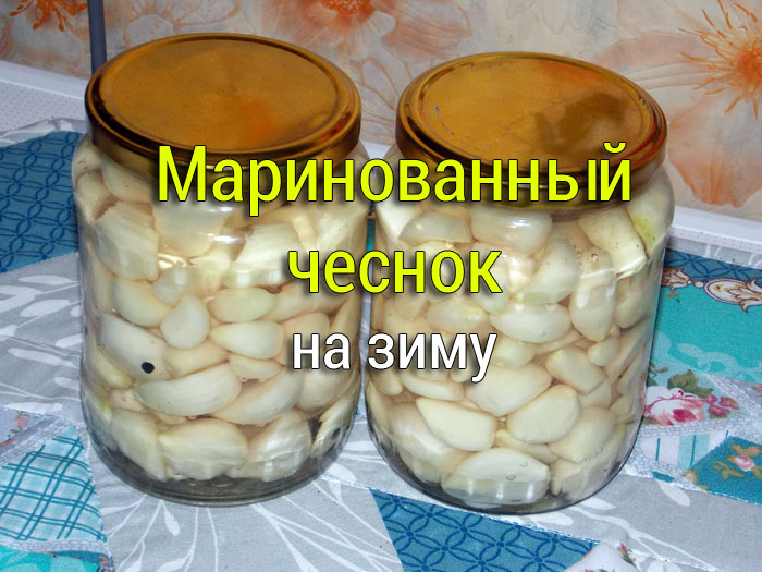 marinovannyj-chesnok-na-zimu Маринад для ЛЕСНЫХ грибов: свинушек, подберезовиков, опят - Простые рецепты - женский сайт