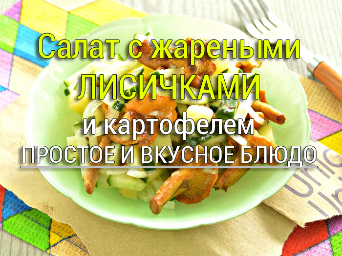 salat-s-lisichkami Салат с мясом и курицей - Простые рецепты - женский сайт