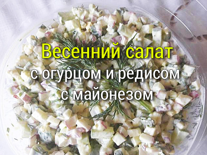 vesennij-salat-s-ogurcom-i-redisom-s-majonezom Салат с мясом и курицей - Простые рецепты - женский сайт