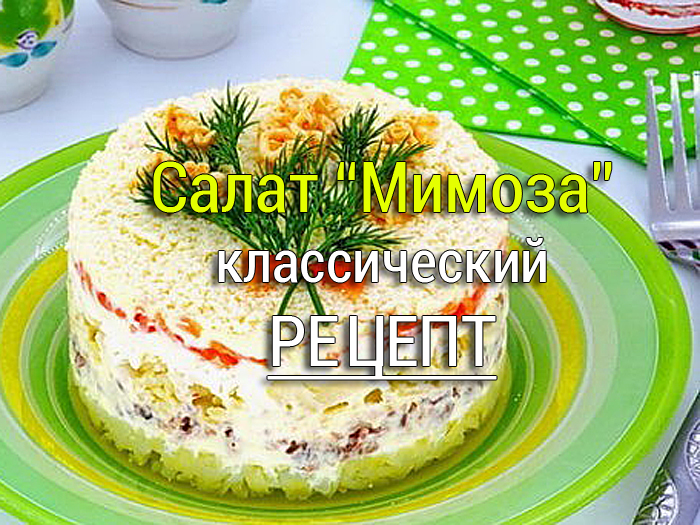 Salat-Mimoza-0 Салат яблоко с хурмой - Простые рецепты - женский сайт
