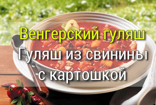 vengerskiy-gulyash Рубленые котлеты из свинины или Шницель рубленый - Простые рецепты - женский сайт
