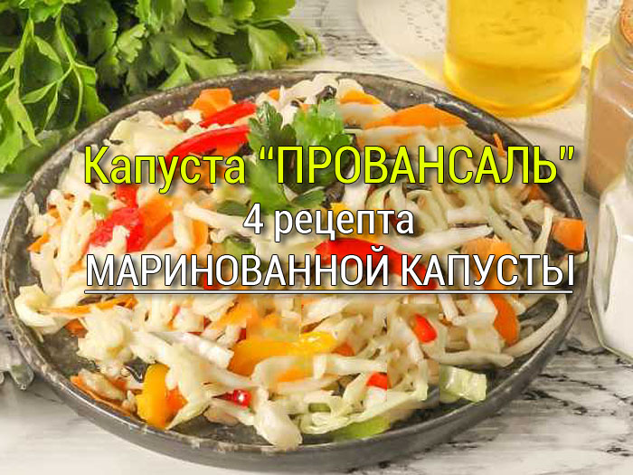 kapusta-provansal Салат из капусты, моркови и сельдерея - Простые рецепты - женский сайт