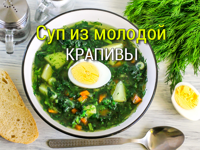 sup_iz_molodoy-krapivy Холодные супы - 5 рецептов - Простые рецепты - женский сайт