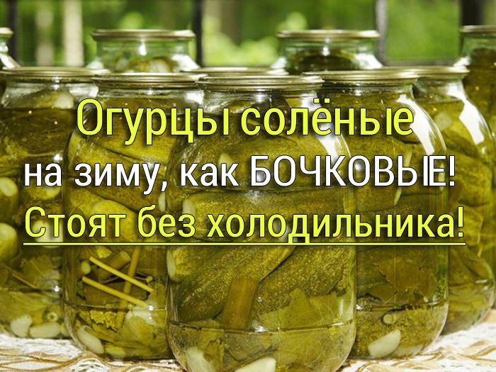 ogurcy-solenie-kak-bochkovie Варенье пятиминутка из чёрной смородины - Простые рецепты - женский сайт