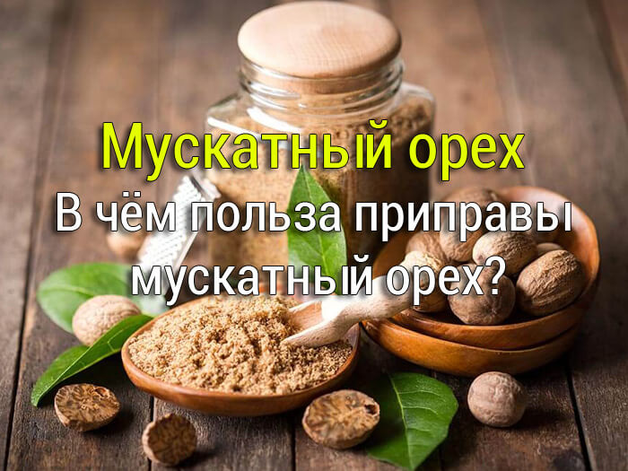polza-pripravy-muskatnyj-orekh-1 Как вывести пятно? - Простые рецепты - женский сайт