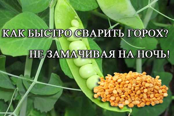 037 15 кулинарных советов хозяйке - Простые рецепты - женский сайт