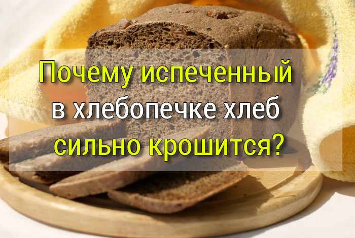 «Домашний хлеб в хлебопечке — это дорого и проблематично». Развенчиваем мифы и стереотипы