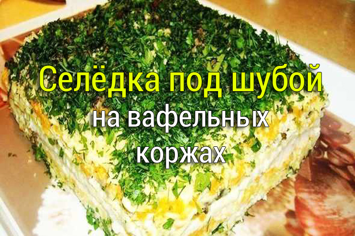 seledka_pod_shuboi_na_vafelnih_korjah Салат с ветчиной, горошком, помидорами и огурцами - Простые рецепты - женский сайт